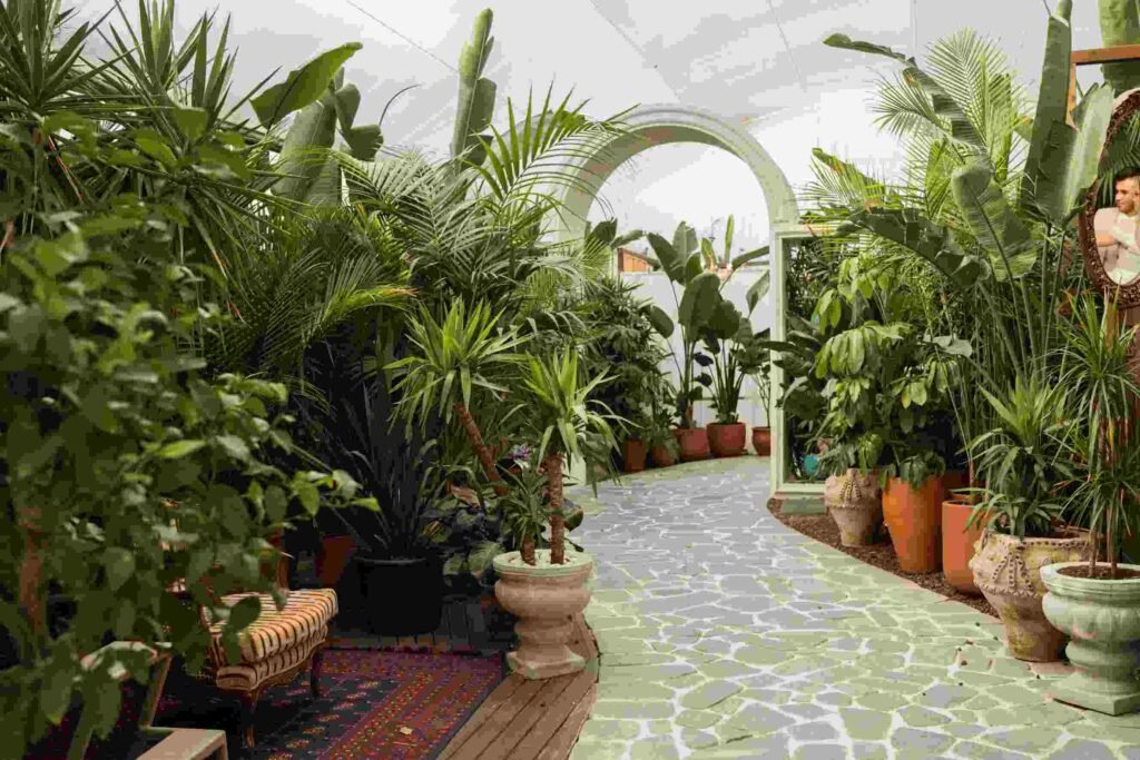 How to Design a High-End Indoor Plant Oasis with Premium Greenery
