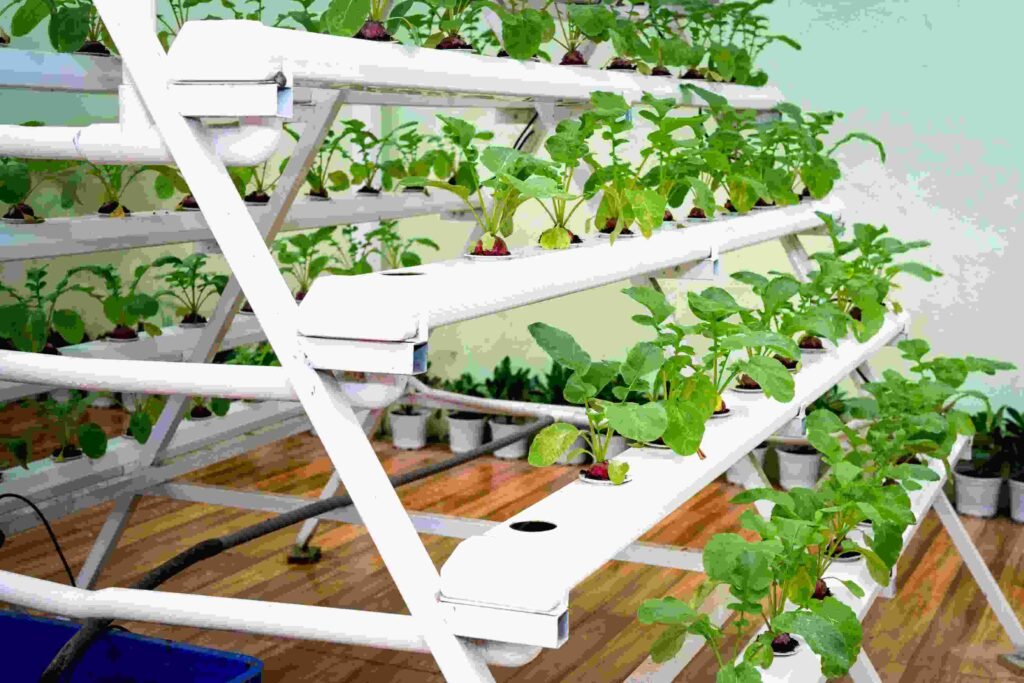 Top 5 Smart Indoor Garden Systems Worth the Investment for Modern Homes