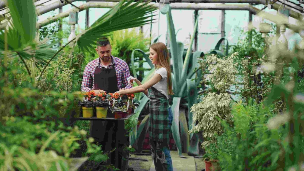 Essential Maintenance Matrix for Exotic Indoor Plants: The Luxury Care Guide